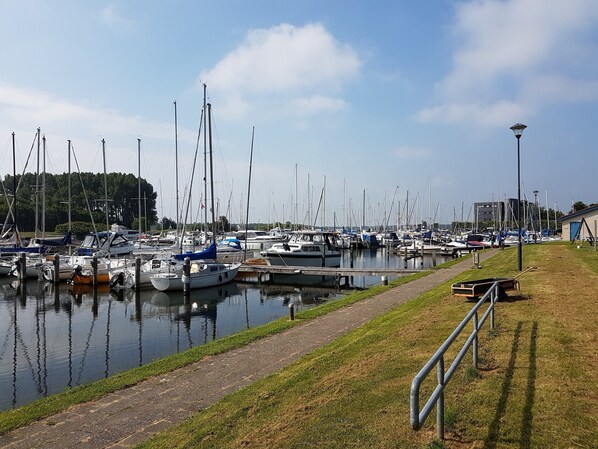 House | View from property - Vintage Holiday Home in Kamperland near Lake Veerse (Kamperland)