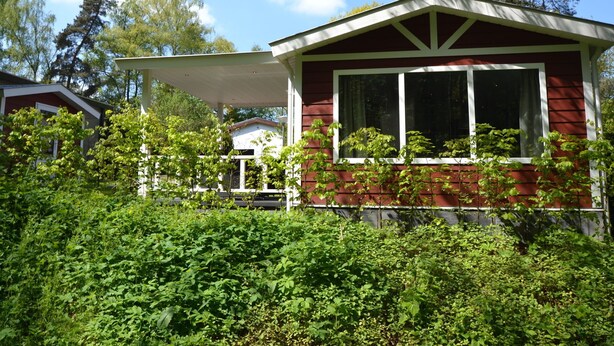 Exterior - Comfy Cottage With Microwave Surrounded by Nature (Rhenen)