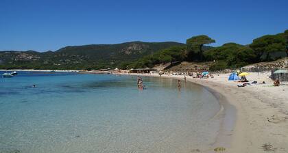 Holiday Home in Corsica Near the Beach