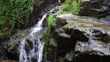 Ngoại thất