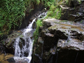 Ngoại thất