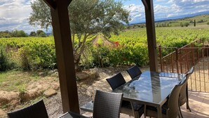 Un espacio de estar al aire libre cubierto con mesa y sillas, con vistas a un viñedo.