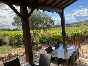 A covered outdoor seating area with a table and chairs, overlooking a vineyard. - Cosy Villa With Pool (Montbrun-des-Corbières)