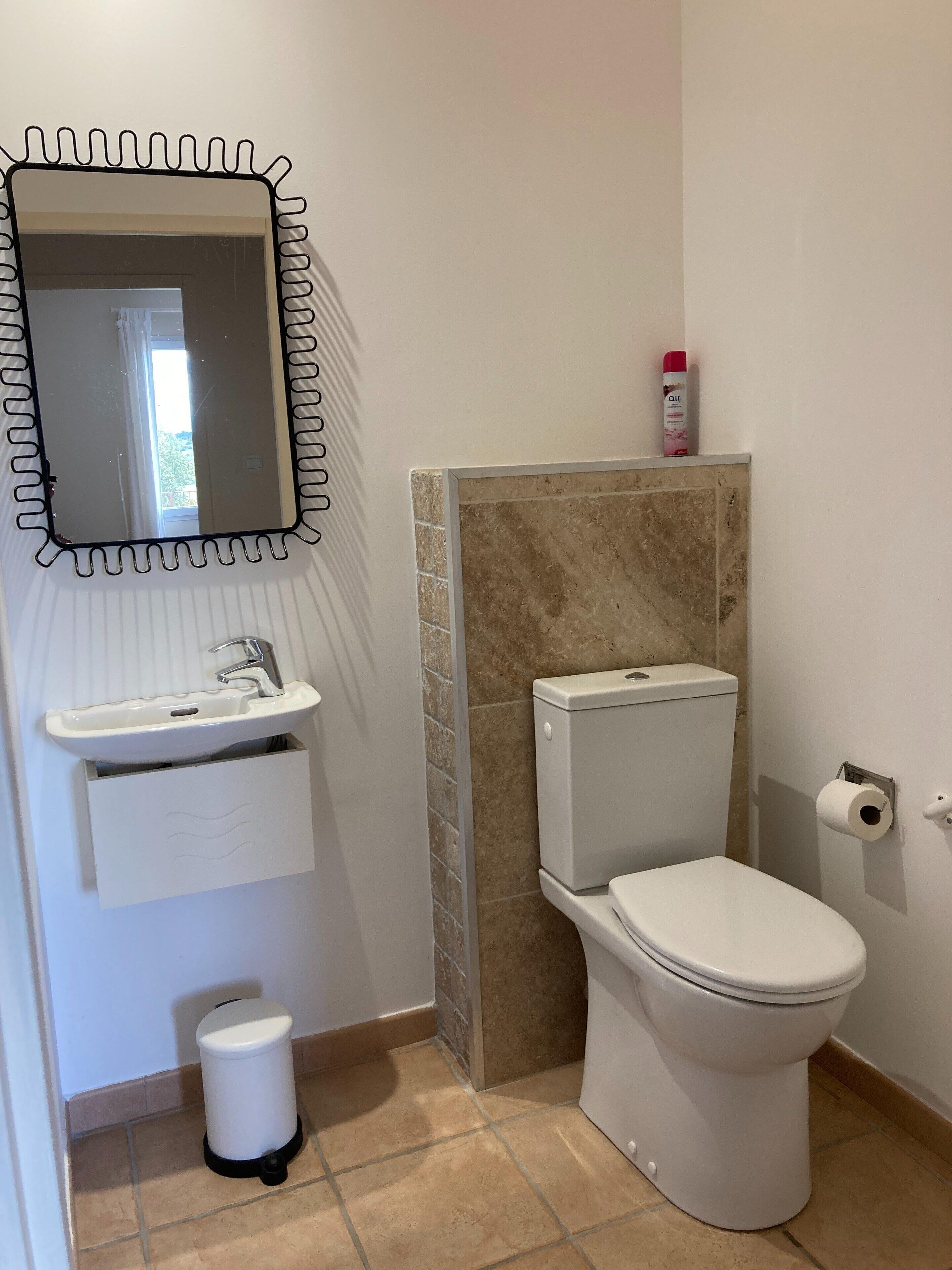 A bathroom with a toilet, sink, and mirror.