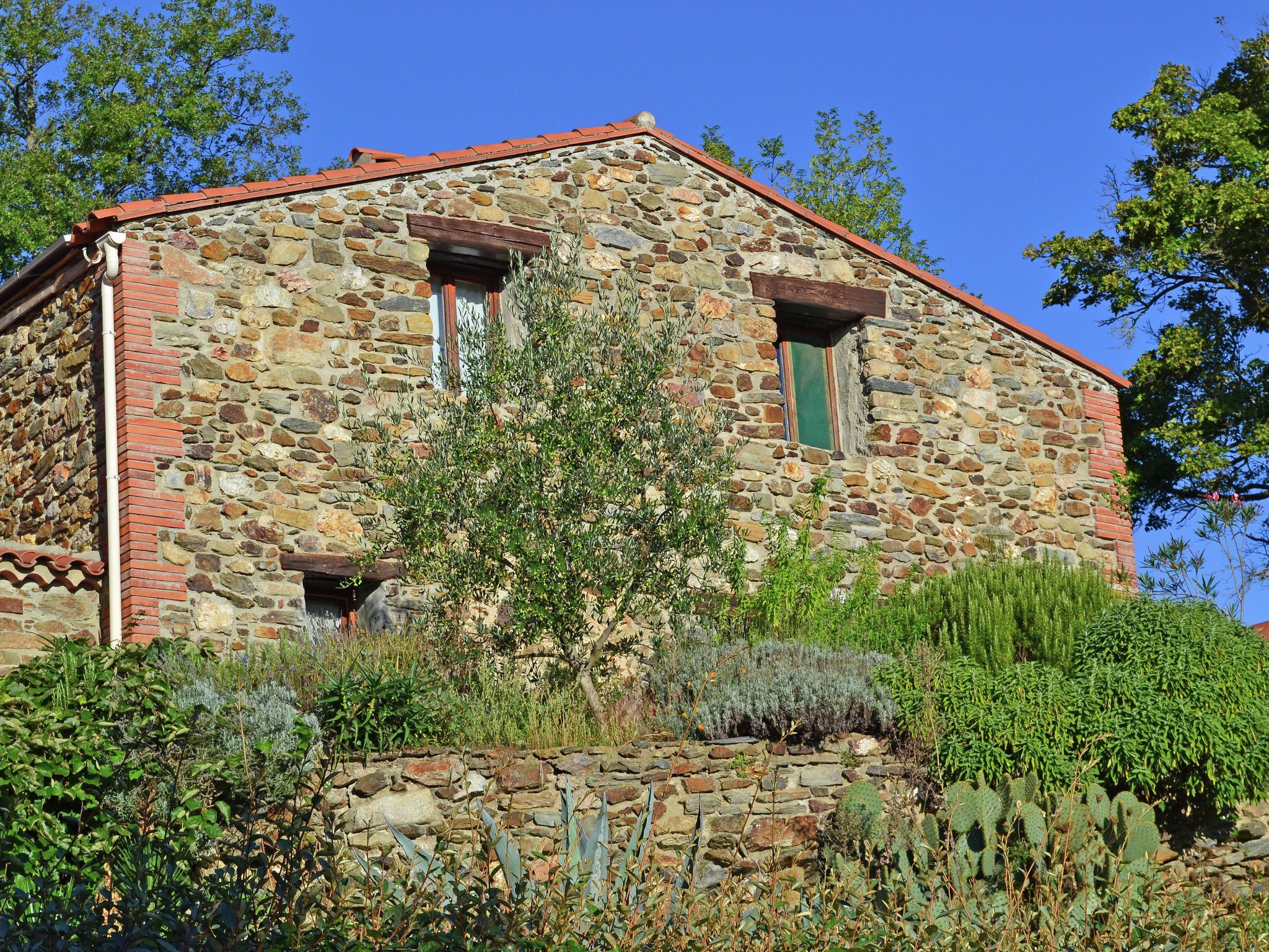 Vila | Eksterior