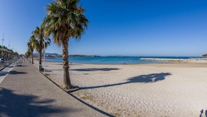 Una playa con un paseo marítimo adoquinado bordeado de palmeras, que conduce al mar.