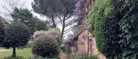 House | Garden