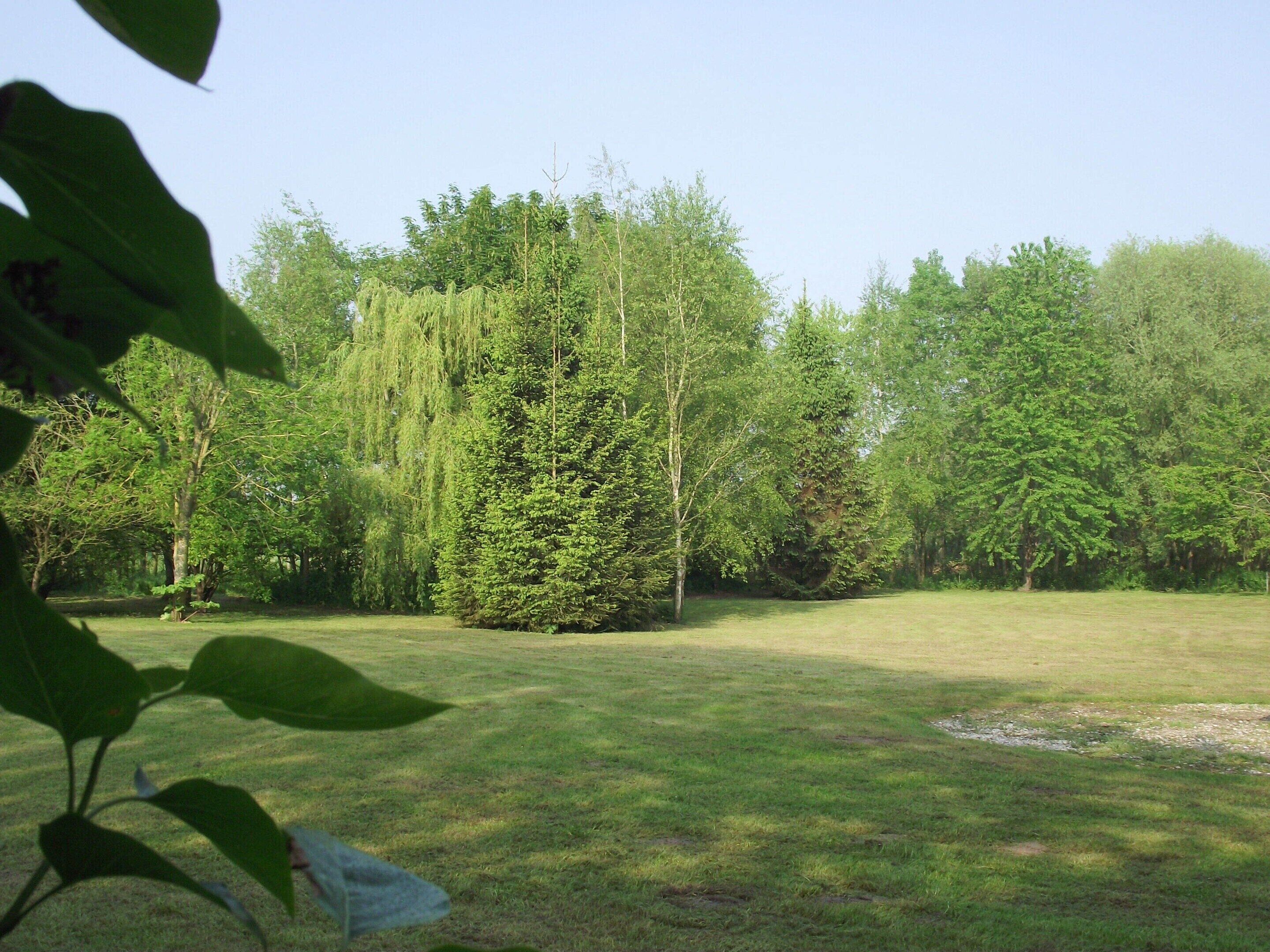 Ferienhaus | Garten