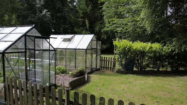 Een broeikas met een houten omheining in een tuin.