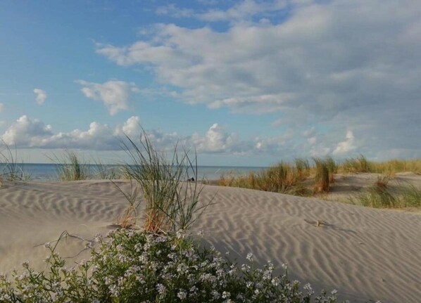 Una playa con dunas de arena y vegetación escasa.