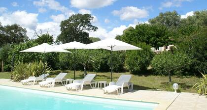 Modern Holiday Home in Porto-vecchio With Pool