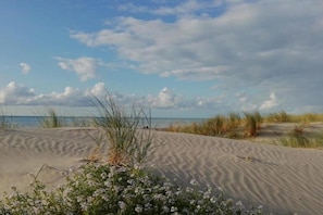 A beach with sand dunes and sparse vegetation.
