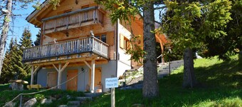 Heritage Chalet in Sankt Stefan near Ski Area