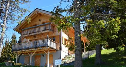 Heritage Chalet in Sankt Stefan near Ski Area
