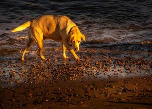 Apartment | Interior detail - Apartment in Oostkapelle Near the Beach (Oostkapelle)