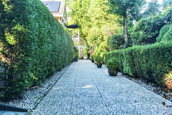 A pathway lined with neatly trimmed hedges and potted plants, leading towards a building with a staircase.