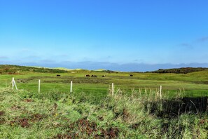 Appartement | Vue depuis l’hébergement