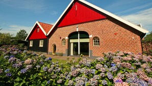 Eksteriør