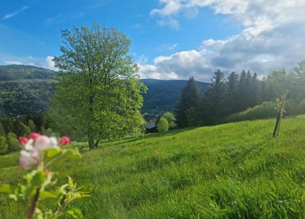 Chalet | View from property - Ventron Chalet With Hill Views (Ventron)