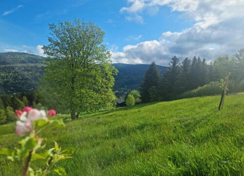 Ventron Chalet With Hill Views