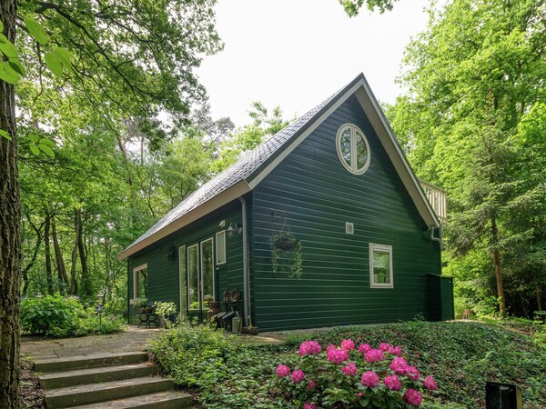 Cozy Countryside Escape In Dalfsen - Overijssel