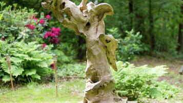 Maison | Détail de l’intérieur