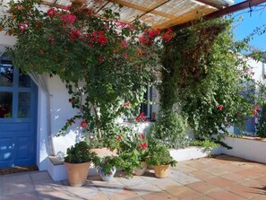 Exterior detail - Andalucian farmhouse set in its own land with beautiful terraces, garden & pool. (Olvera)