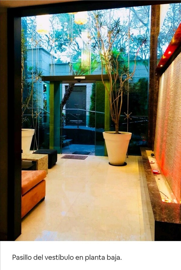 A low-plant hallway with a glass door leading to a conservatory.