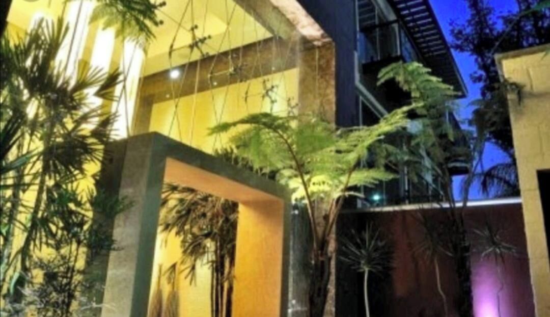 Acceso interior a un edificio con plantas e iluminación.