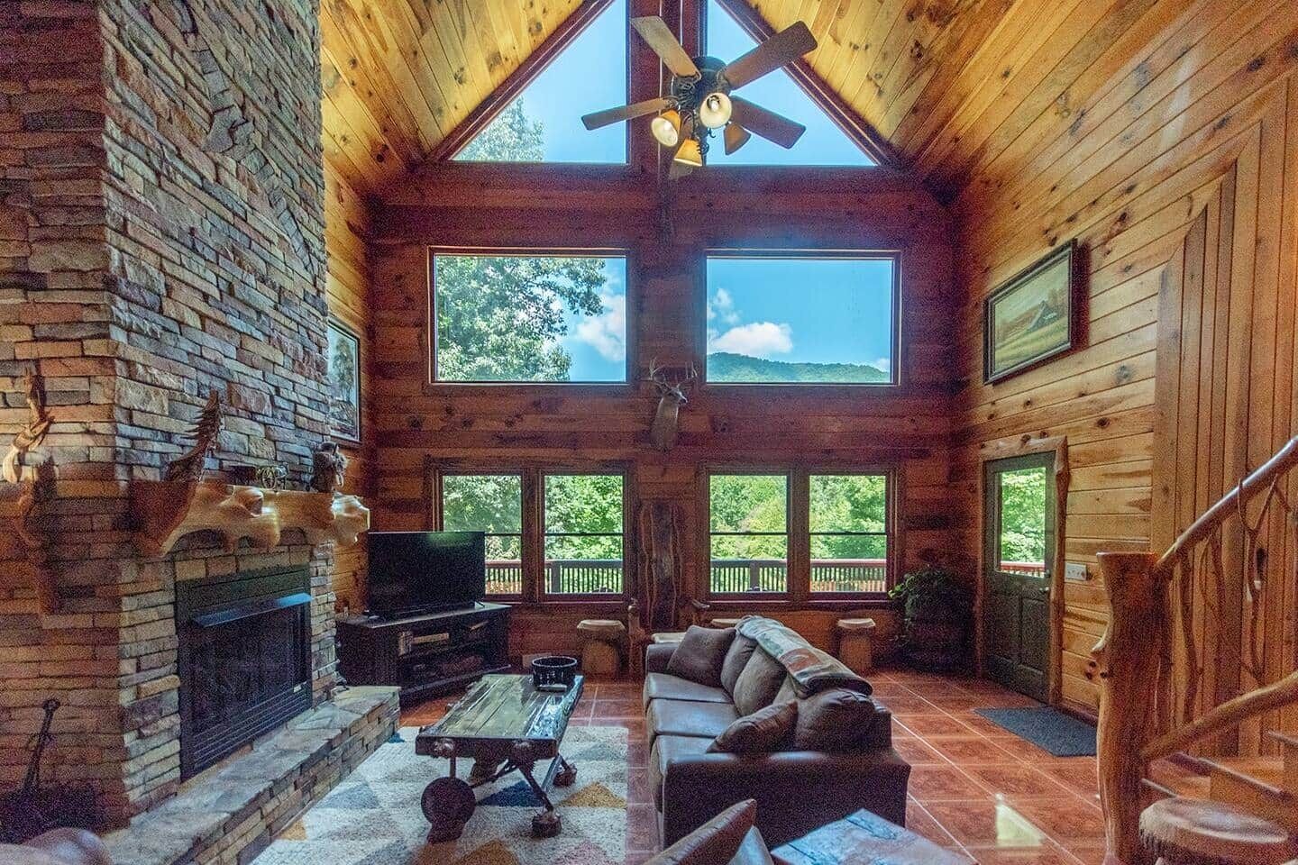 Smart TV, fireplace, books, video library
