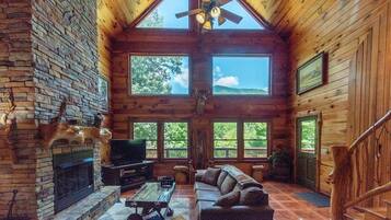 Smart TV, fireplace, DVD player, books