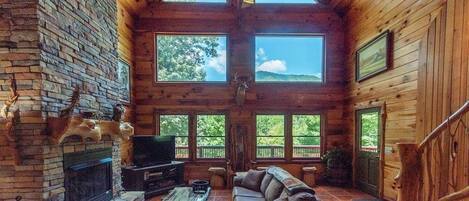 TV connectée, cheminée, lecteur de DVD, livres