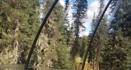 Tree House Tent Cocoon #01