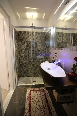 Shower, hair dryer, bidet, towels