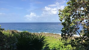 A coastal view with a rocky shoreline, ocean waves, and lush greenery. - Mangrove Suite - 2nd Floor Double (West End)