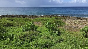 A coastal landscape with rocky terrain and dense green vegetation in the foreground, leading to a calm sea under a partly cloudy sky. - Port Royal Suite - Ground Level King (West End)