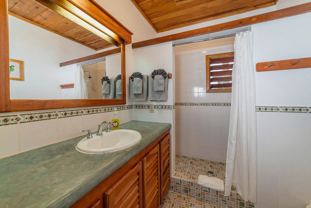 Hair dryer, towels