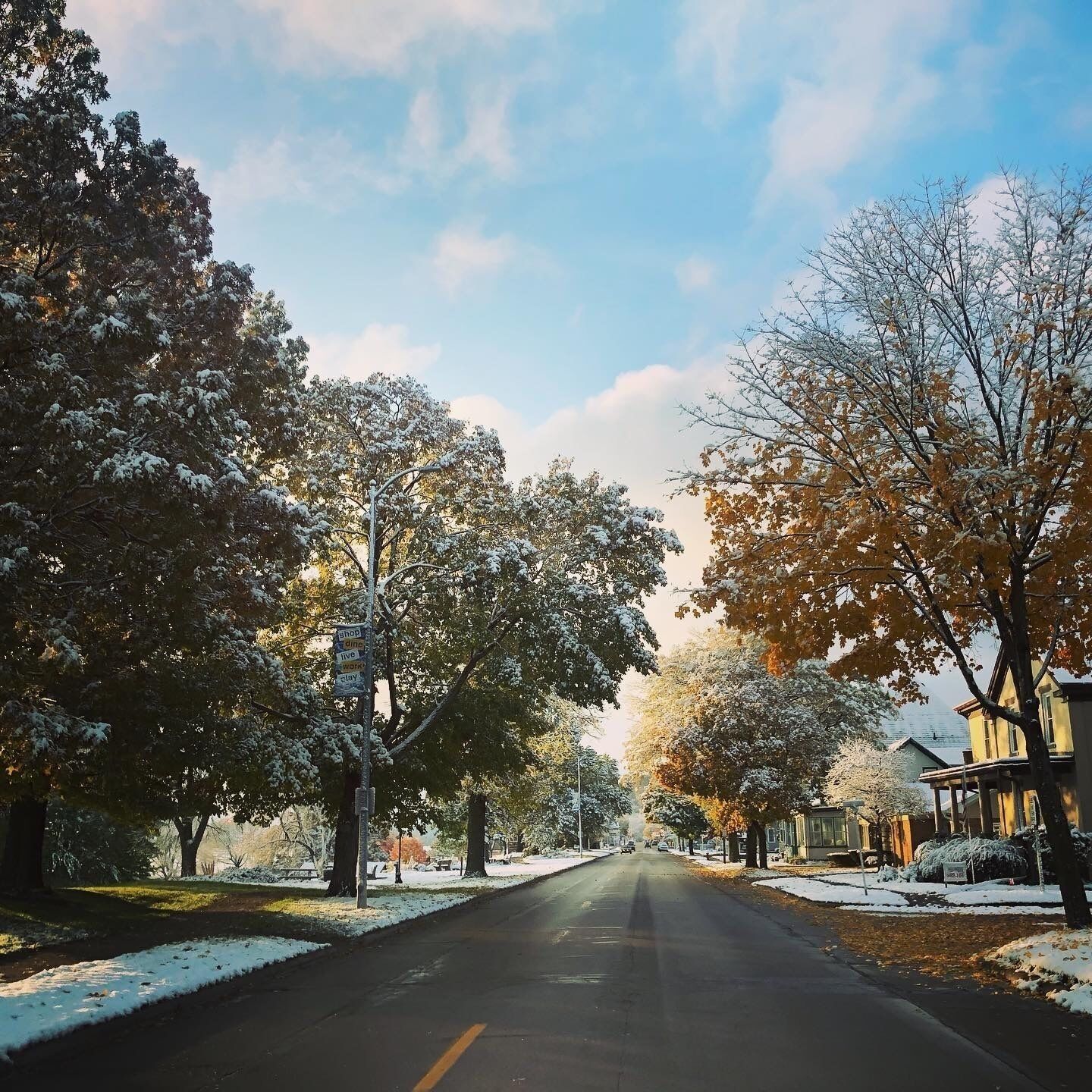 Une rue bordée d’arbres, avec de la neige sur le sol et sur les arbres, un ciel dégagé et un bâtiment sur la droite.