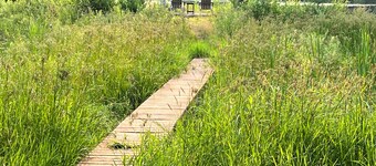 Cabin on a small lake, remote feeling, close to Duluth, ATV Snowmobile hiking