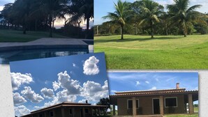Una piscina con palmeras, un área verde y un edificio con techo de tejas.