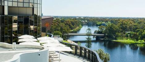 室外游泳池,池畔遮阳伞,日光浴躺椅