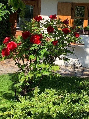 Apartment for 2 persons, 42 sqm