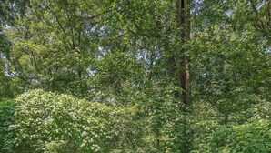 Un bain à remous installé sur une terrasse en bois, entouré d’une végétation luxuriante.