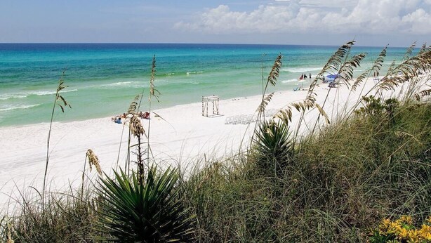 Ein Strand mit weißem Sand, klarem türkisblauem Wasser und vereinzelter Vegetation.