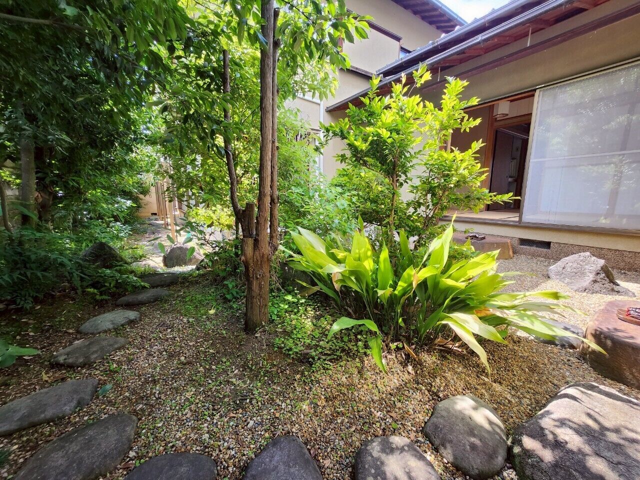 Japanese garden