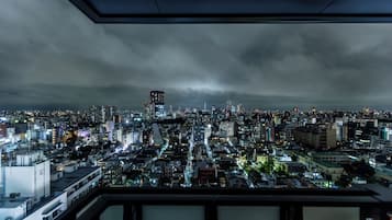 Main Bldg Top Floor Deluxe Twin Room, Non Smoking (20th floor) | View from room