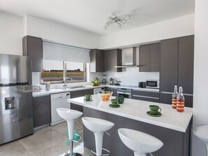 Fridge, oven, stovetop, dishwasher