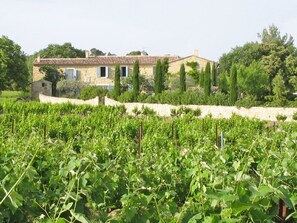 Exterior - Mansion in Vaison-la-romaine With Private Pool (Saint-Romain-en-Viennois)