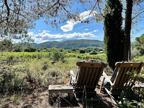 House | View from property - Mansion in Vaison-la-romaine With Private Pool (Saint-Romain-en-Viennois)