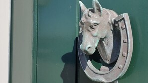 A metal horse head door knocker on a green door. - Sleeping in a National Monument is Possible on Texel (Den Hoorn)